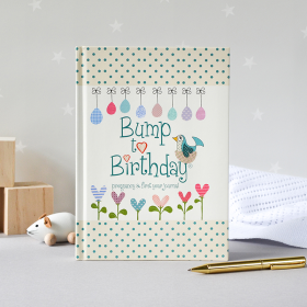 Pregnancy & First Year Baby Journal : an award-winning journal / diary to help you hold onto memories of the growing bump, the birth & the first year with your baby by from you to me